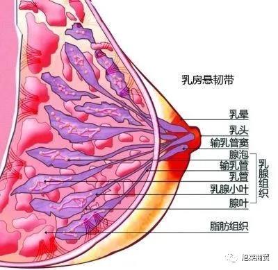 光波能量.jpg