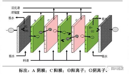 光波能量袜批发