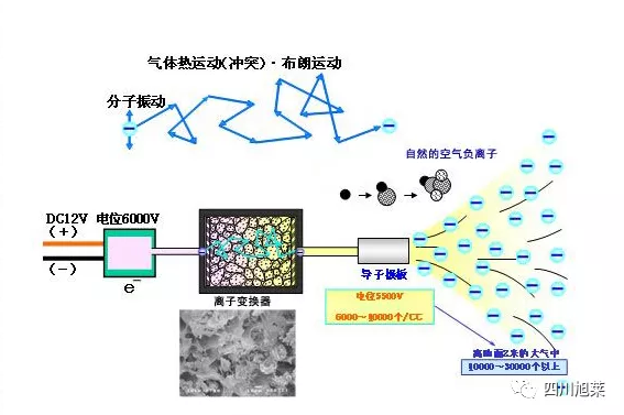 四川光波能量袜